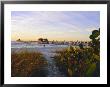 Naples, Florida, Usa. Sunset At The Beach And Pier by Fraser Hall Limited Edition Print