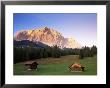 Zugspitze And Barns At Dusk, Wetterstein, Austrian Alps, Austria, Europe by Jochen Schlenker Limited Edition Print