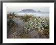 Tabletop Mountain, Table Bay, Capetown, South Africa by John & Lisa Merrill Limited Edition Print