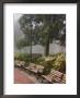 Azaleas Along Brick Sidewalk And Benches At Forsyth Park, Savannah, Georgia, Usa by Joanne Wells Limited Edition Print