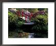 Moon Bridge And Pond In A Japanese Garden, Seattle, Washington, Usa by Jamie & Judy Wild Limited Edition Pricing Art Print