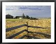 Ebey's Landing National Historic Site, Whidbey Island, Washington, Usa by William Sutton Limited Edition Print