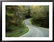 Time-Exposed View Taken From A Car Of The Winding Road by Raymond Gehman Limited Edition Print
