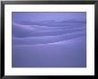 Shifting Dunes Of Gypsum Cover White Sands National Monument by William Allen Limited Edition Print