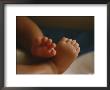 A Close View Of An Infants Tiny Feet by Raul Touzon Limited Edition Pricing Art Print