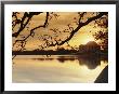 View Of The Jefferson Memorial At Twilight by Richard Nowitz Limited Edition Print