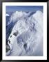 Aerial Of Snow Covered Peaks And Glaciers Near Mount Mckinley, Alaska by Rich Reid Limited Edition Print
