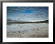 Badwater Basin, Death Valley National Park, California, Usa by Walter Bibikow Limited Edition Print