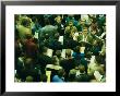 An Elevated View Of Traders On The Board Of Trade Floor by Michael S. Lewis Limited Edition Print