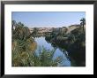 The Photographer Discovers An Oasis In The Middle Of The Sahara Desert by Peter Carsten Limited Edition Print