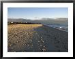 Cape Cod Foot Prints On Sandy Beach In Chatham, Massachusetts by Keenpress Limited Edition Print