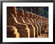 Luxor Temple, Luxor, Egypt by Jacob Halaska Limited Edition Print