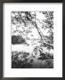 Hoan Kiem Lake View, Hanoi, Vietnam by Walter Bibikow Limited Edition Print