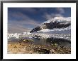 Neko Harbor, Gerlache Strait, Antarctic Peninsula, Antarctica, Polar Regions by Sergio Pitamitz Limited Edition Print