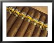 Close-Up Of Limited Edition Cigars In A Box, Cohiba, Havana, Cuba, West Indies, Central America by Eitan Simanor Limited Edition Print