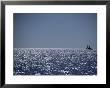 A Lone Sailboat On The Horizon In Shark Bay by Jason Edwards Limited Edition Print
