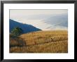 Mountain Bikers On Trail Above Fog-Covered Elk River Valley by Skip Brown Limited Edition Print