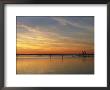 Distant View Of Fishing Pier At Twilight by Steve Winter Limited Edition Print
