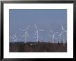 Windmills Wait To Catch A Breeze On A Hilltop by Bill Curtsinger Limited Edition Print