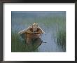 An Adirondack Guide Canoe Floating On Connery Pond At Sunrise by Michael Melford Limited Edition Print