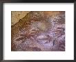 Ancient Hand And Rhea Print Paintings, Cave Of The Hands, Santa Cruz Province, Patagonia, Argentina by Lin Alder Limited Edition Print