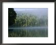 A Foggy Morning On A Placid Lake by Michael S. Lewis Limited Edition Print