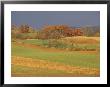 Pastoral View Of Rolling Fields And Autumn Foliage by Raymond Gehman Limited Edition Print