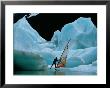 Windsurfer Practices His Sport Alongside Icebergs by Chris Johns Limited Edition Print