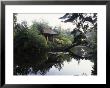 Japanese Garden At Tatton Park Temple At Pond With Bridge by Clive Boursnell Limited Edition Print