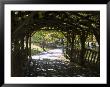 Curved Walkway In Central Park by Stacy Gold Limited Edition Pricing Art Print