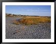 Tidal Salt Marsh On The Coast, Maine, Usa by Jerry & Marcy Monkman Limited Edition Print