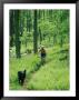 Mountain Biker And Dog On Single Track Trail Through Ferns by Skip Brown Limited Edition Print