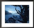 Winter Landscape, Many Glacier, Glacier National Park, Montana by David Boyer Limited Edition Pricing Art Print