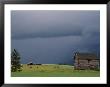 Ominous Clouds Gather Over Horses Grazing On A Flathead Valley Ranch by Annie Griffiths Belt Limited Edition Print