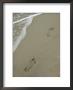 Footprints On The Beach by Al Petteway Limited Edition Pricing Art Print