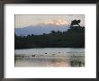 Mount Kilimanjaro Rises Above One Of Tanzanias Momela Lakes by Richard Nowitz Limited Edition Pricing Art Print