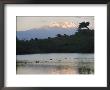 Mount Kilimanjaro Rises Above One Of Tanzanias Momela Lakes by Richard Nowitz Limited Edition Print