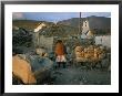 An Aymara Woman And Cat On A Path In An Atacama Desert Village by Joel Sartore Limited Edition Pricing Art Print