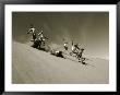 A Group Of Hikers Have A Freefall Down A Sand Dune Near The Alsek River In Alas Ka by Barry Tessman Limited Edition Pricing Art Print