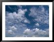 A Sky Filled With Puffy White Clouds by Heather Perry Limited Edition Print