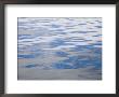 Reflected Patterns In Blue Water Of Andean Lake, Merida, Venezuela by David Evans Limited Edition Print