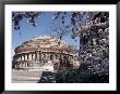 The Royal Albert Hall, London, England, United Kingdom by Adam Woolfitt Limited Edition Print