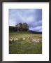 Duart Castle, Isle Of Mull, Argyllshire, Inner Hebrides, Scotland, United Kingdom by Christina Gascoigne Limited Edition Print