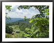 Countryside, West Virginia, Usa by Ethel Davies Limited Edition Print