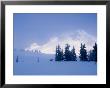 Snowy Day On Mt. Hood, Oregon, Usa by Janis Miglavs Limited Edition Print