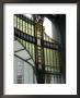 Stained Glass Art Nouveau (Jugendstil) Detail, Municipal House, Prague, Czech Republic by Ethel Davies Limited Edition Print