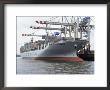 Shipping, Port, Hamburg, Germany by Hans Peter Merten Limited Edition Print