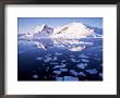 West Coast, Antarctic Peninsula, Antarctica, Polar Regions by Geoff Renner Limited Edition Pricing Art Print