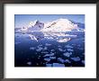 West Coast, Antarctic Peninsula, Antarctica, Polar Regions by Geoff Renner Limited Edition Print