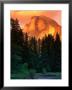 Half Dome Seen From Sentinel Bridge Over Merced River, Yosemite National Park, Usa by John Elk Iii Limited Edition Pricing Art Print